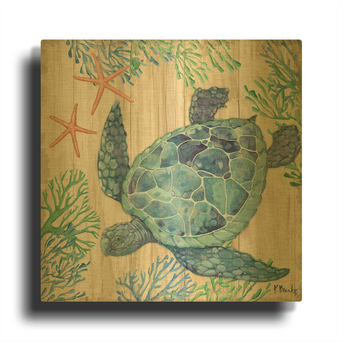 'Clearwater Sealife V - Tan' By Paul Brent Gold Metal Wall Art