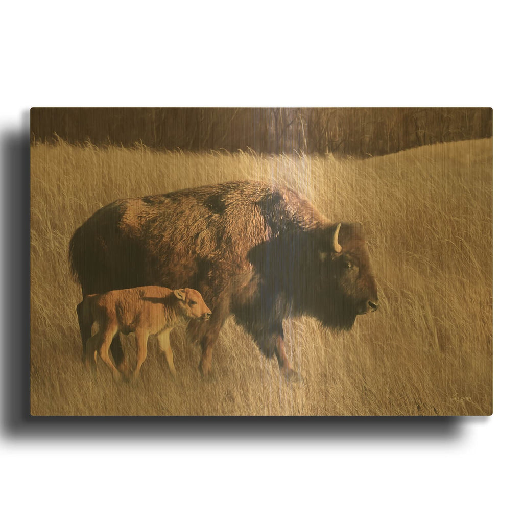 'Bison Mom and Baby' By Lori Deiter Gold Metal Wall Art