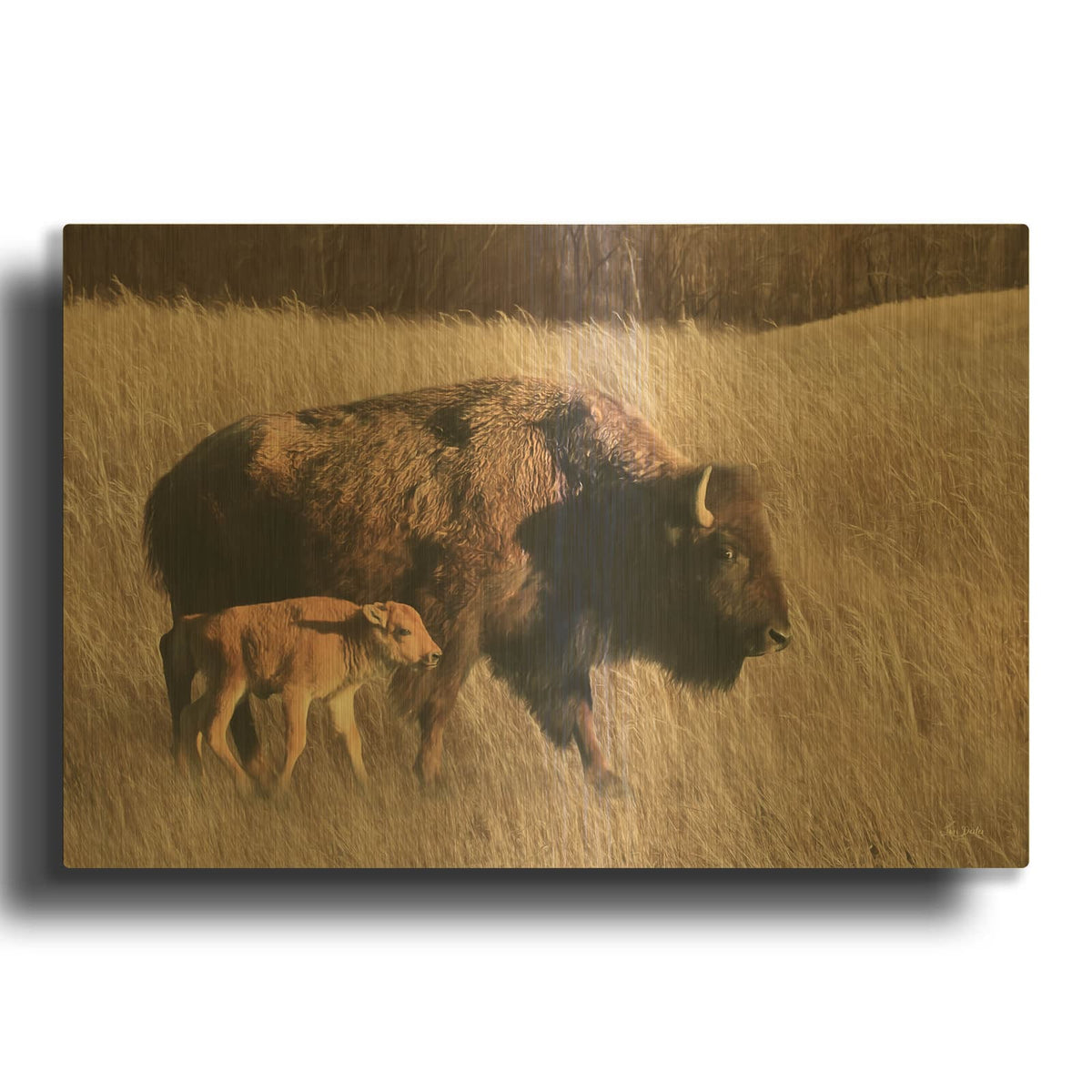 'Bison Mom and Baby' By Lori Deiter Gold Metal Wall Art