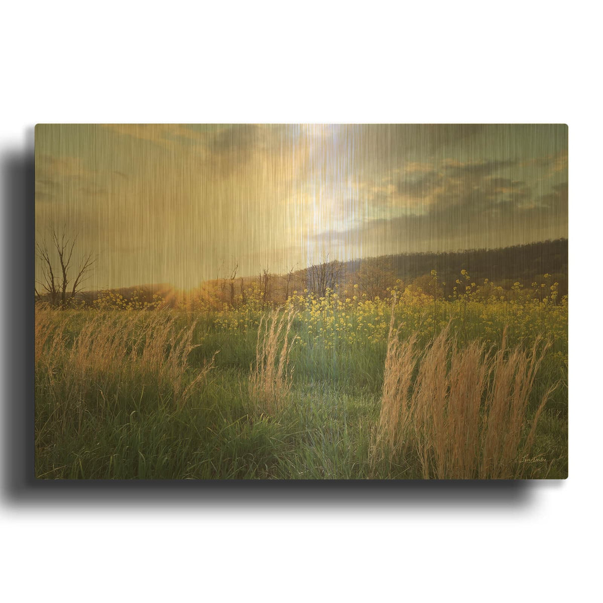 'Country Sunset' By Lori Deiter Gold Metal Wall Art