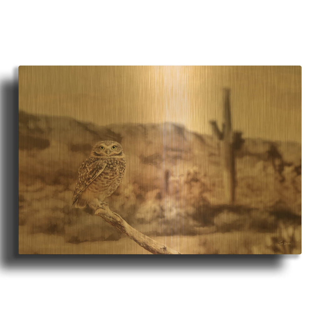 'Desert Owl' By Lori Deiter Gold Metal Wall Art