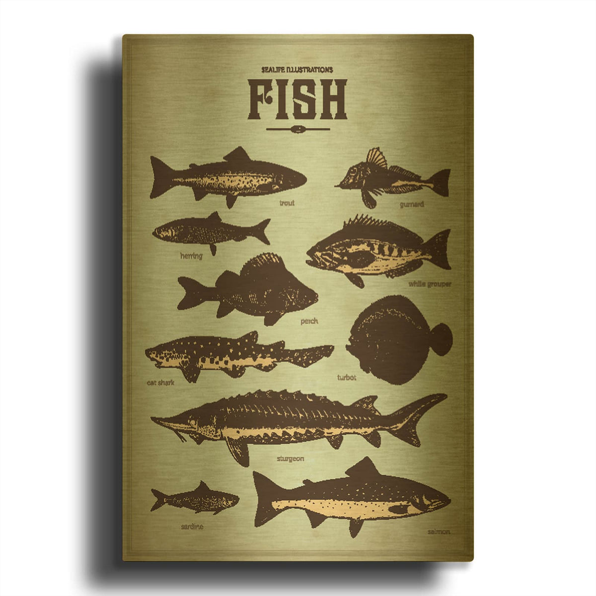 'Vintage Fish Poster' By Luxe Gold Metal Wall Art