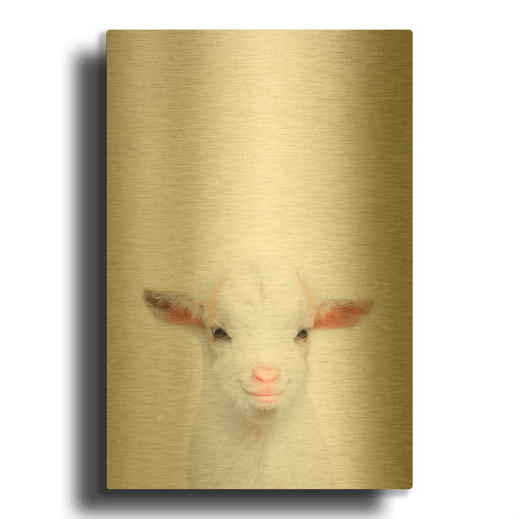 'Baby Goat' By Tai Prints Gold Metal Wall Art