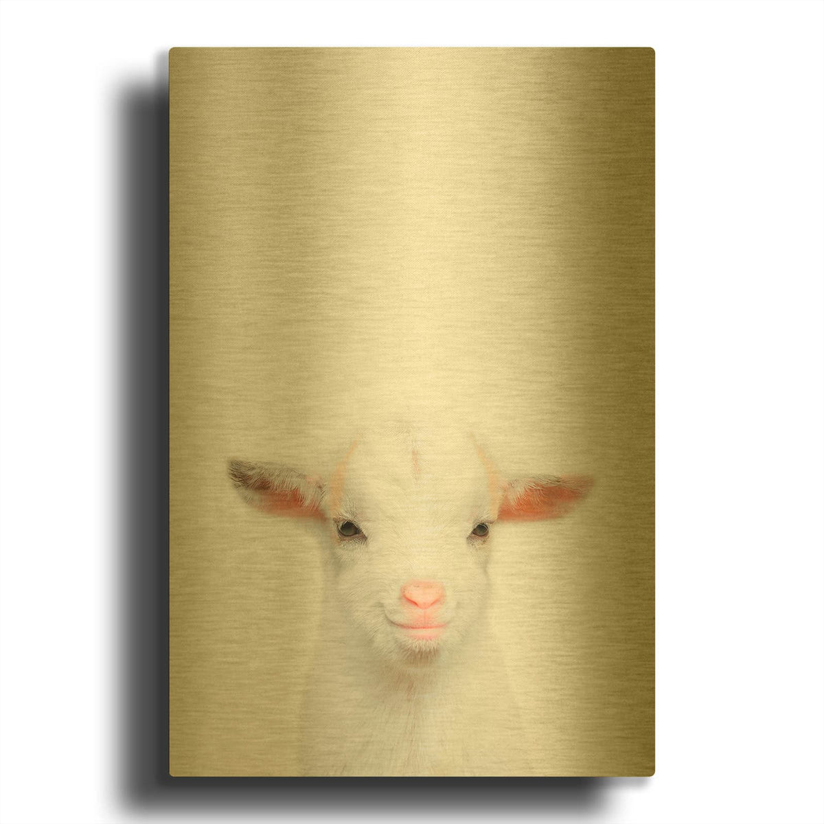 'Baby Goat' By Tai Prints Gold Metal Wall Art