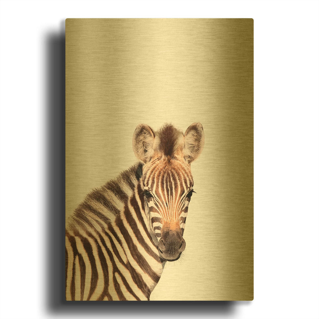 'Baby Zebra' By Tai Prints Gold Metal Wall Art