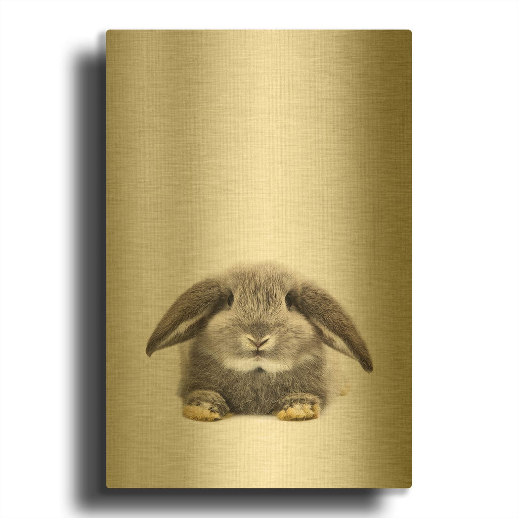 'Rabbit Ii' By Tai Prints Gold Metal Wall Art