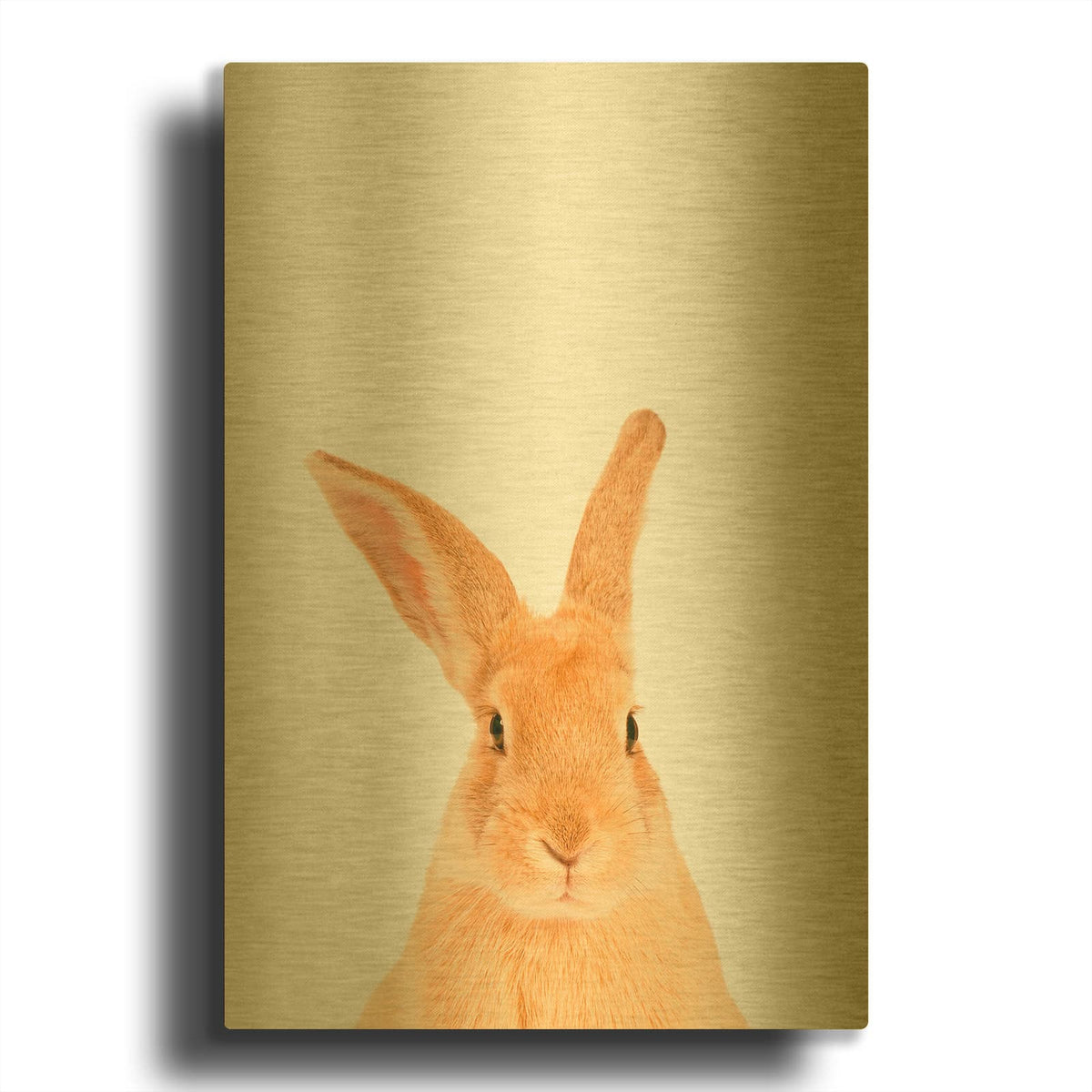 'Rabbit' By Tai Prints Gold Metal Wall Art