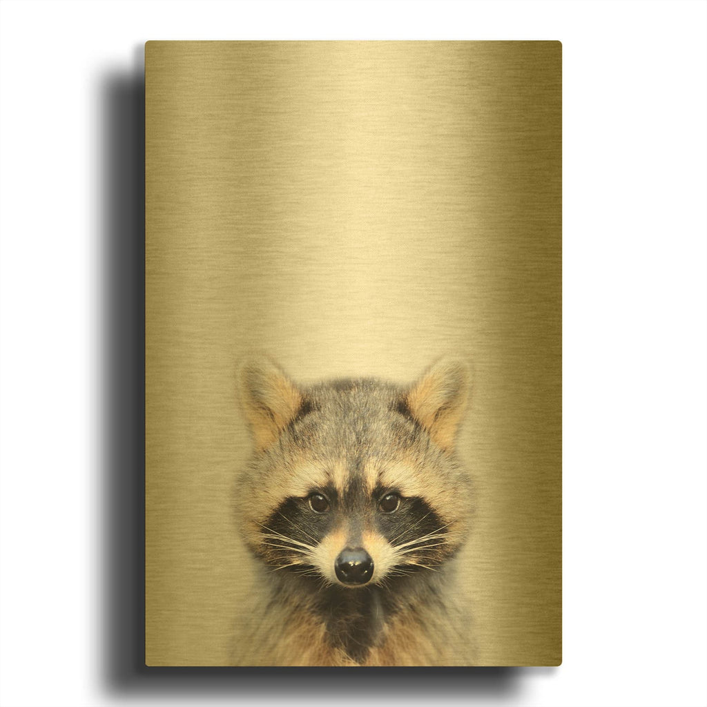 'Raccoon' By Tai Prints Gold Metal Wall Art