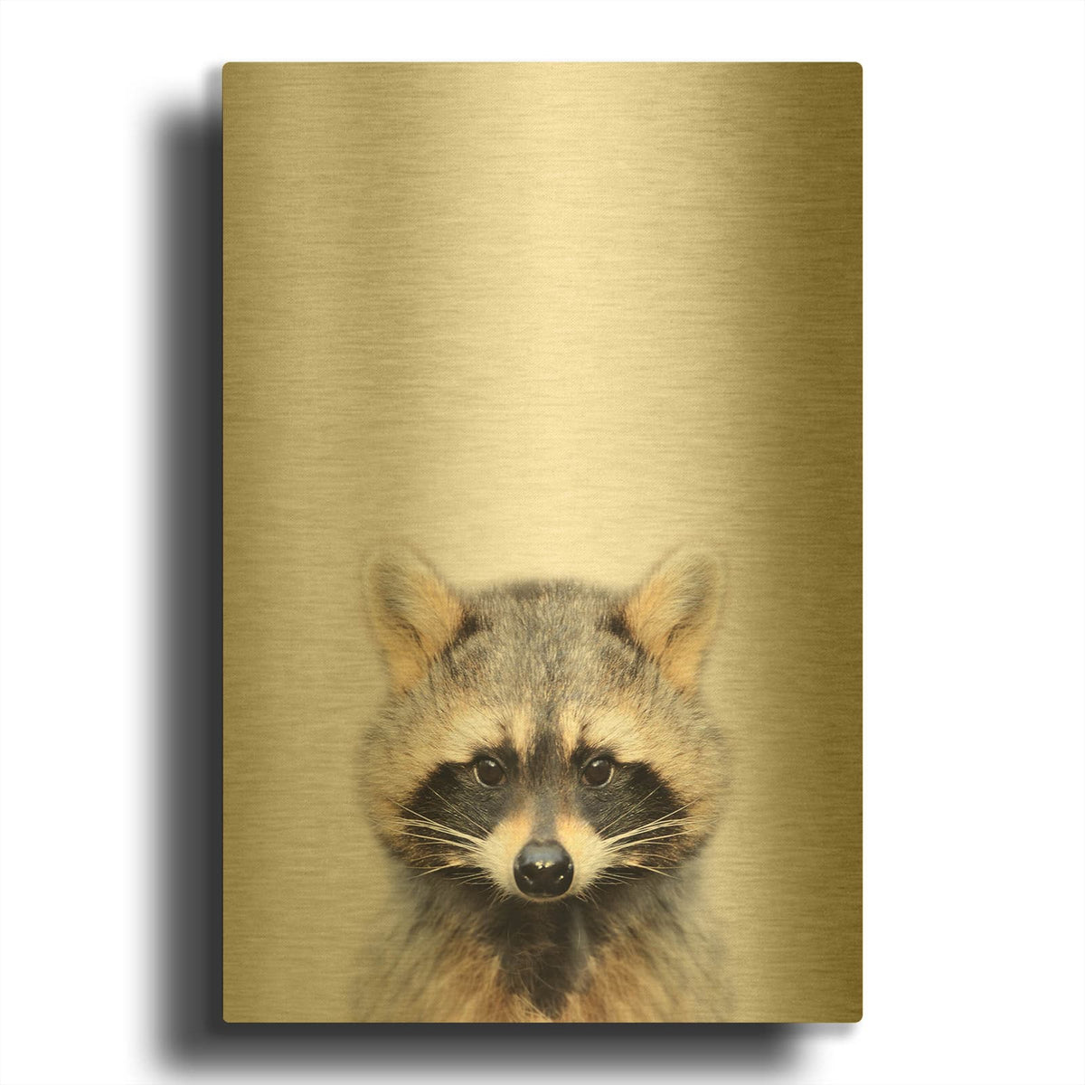 'Raccoon' By Tai Prints Gold Metal Wall Art