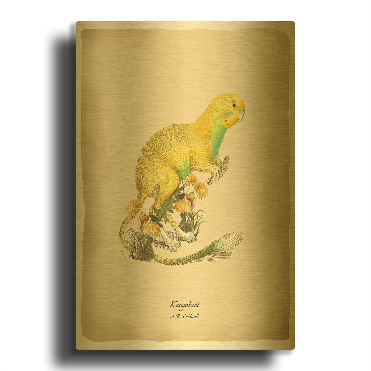 'Kangakeet' By Angela Tannehill Gold Metal Wall Art