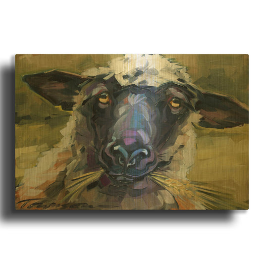 'Bless Ewe' By CR Townsend Gold Metal Wall Art