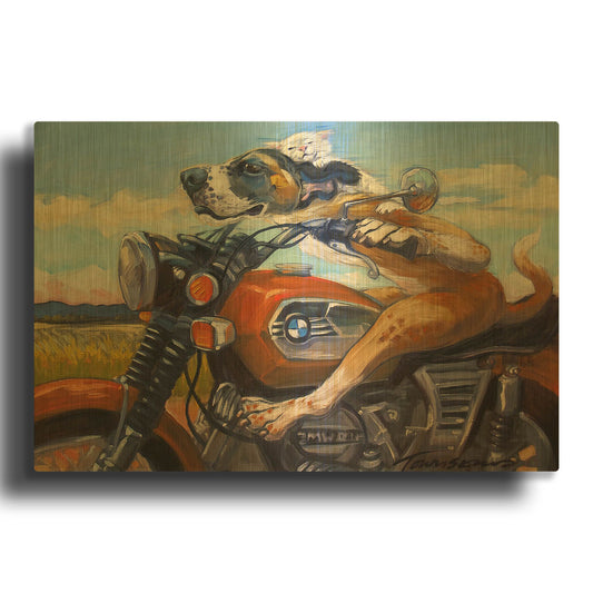 'Fast And Furriest' By CR Townsend Gold Metal Wall Art