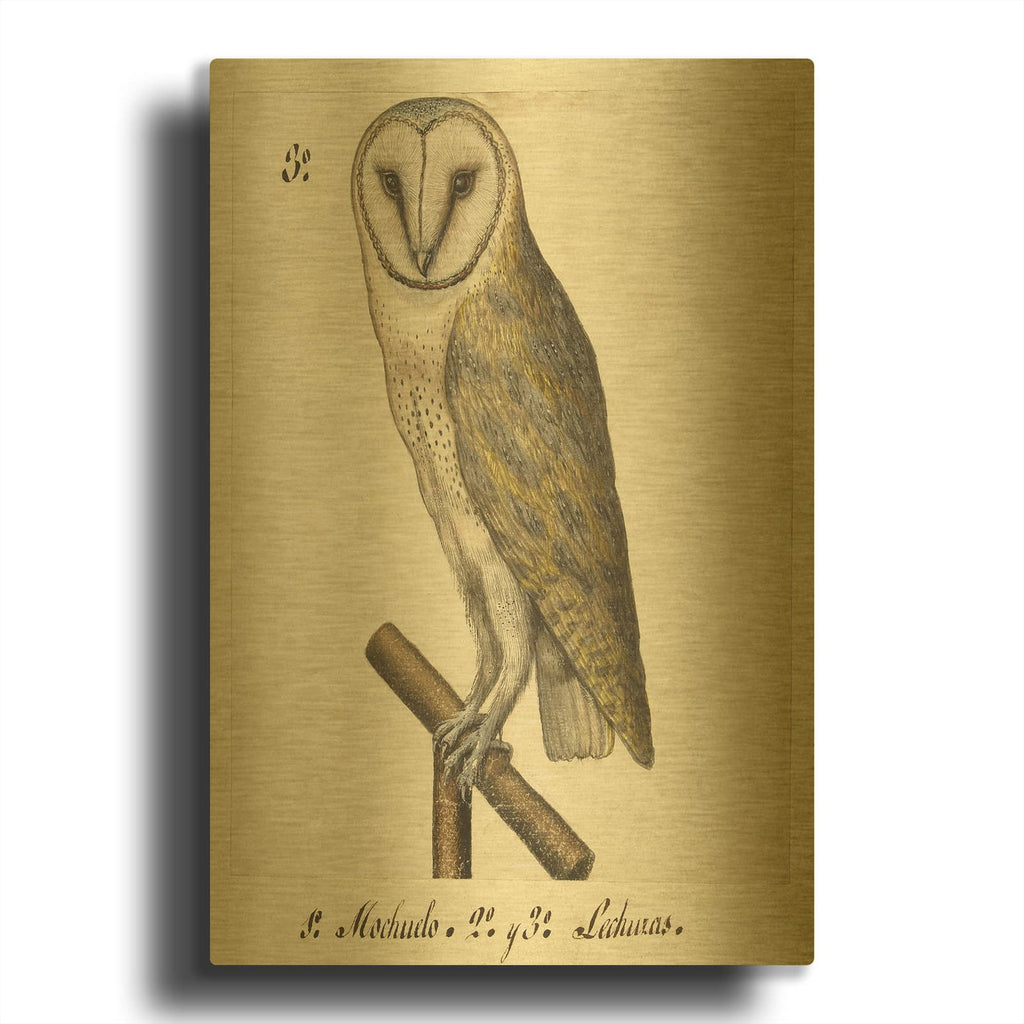 'Barn Owl 1560-1585' By Unknown IC Gold Metal Wall Art