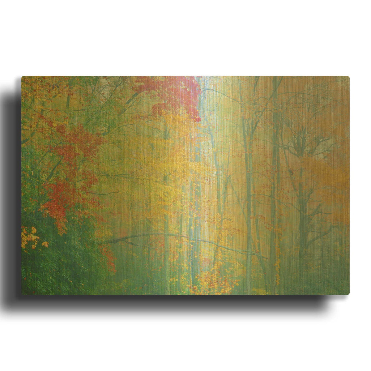 'Autumn' By Steve Vaughn Gold Metal Wall Art