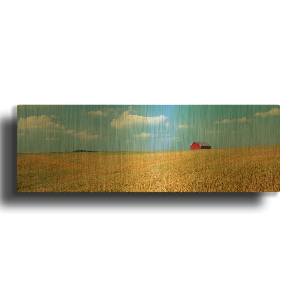 'Heartland' By Steve Vaughn Gold Metal Wall Art