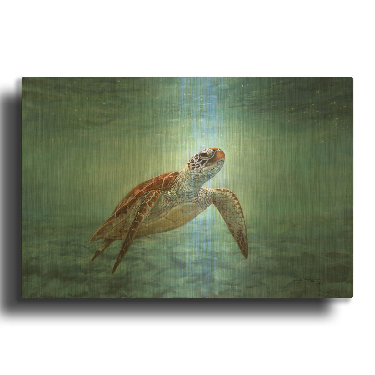 'Sea Turtle' By David Stribbling Gold Metal Wall Art