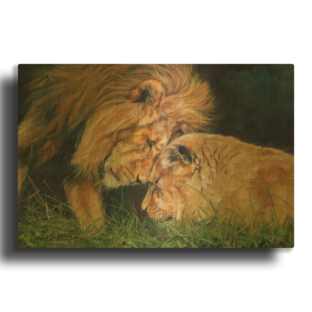 'Lion Love' By David Stribbling Gold Metal Wall Art