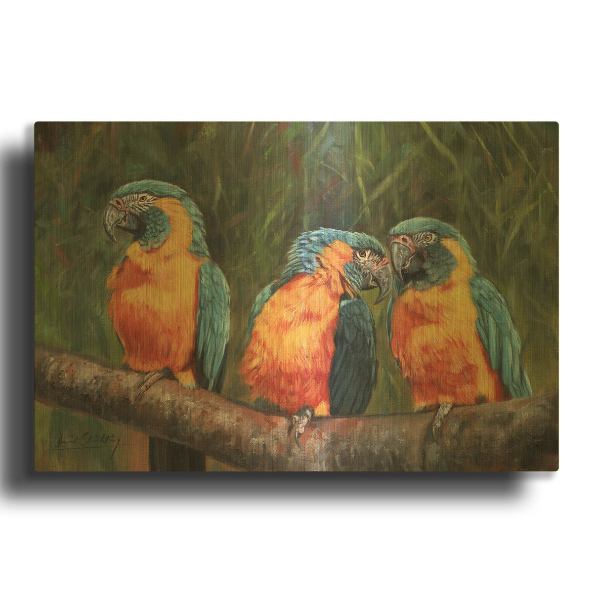 '3 Macaws' By David Stribbling Gold Metal Wall Art