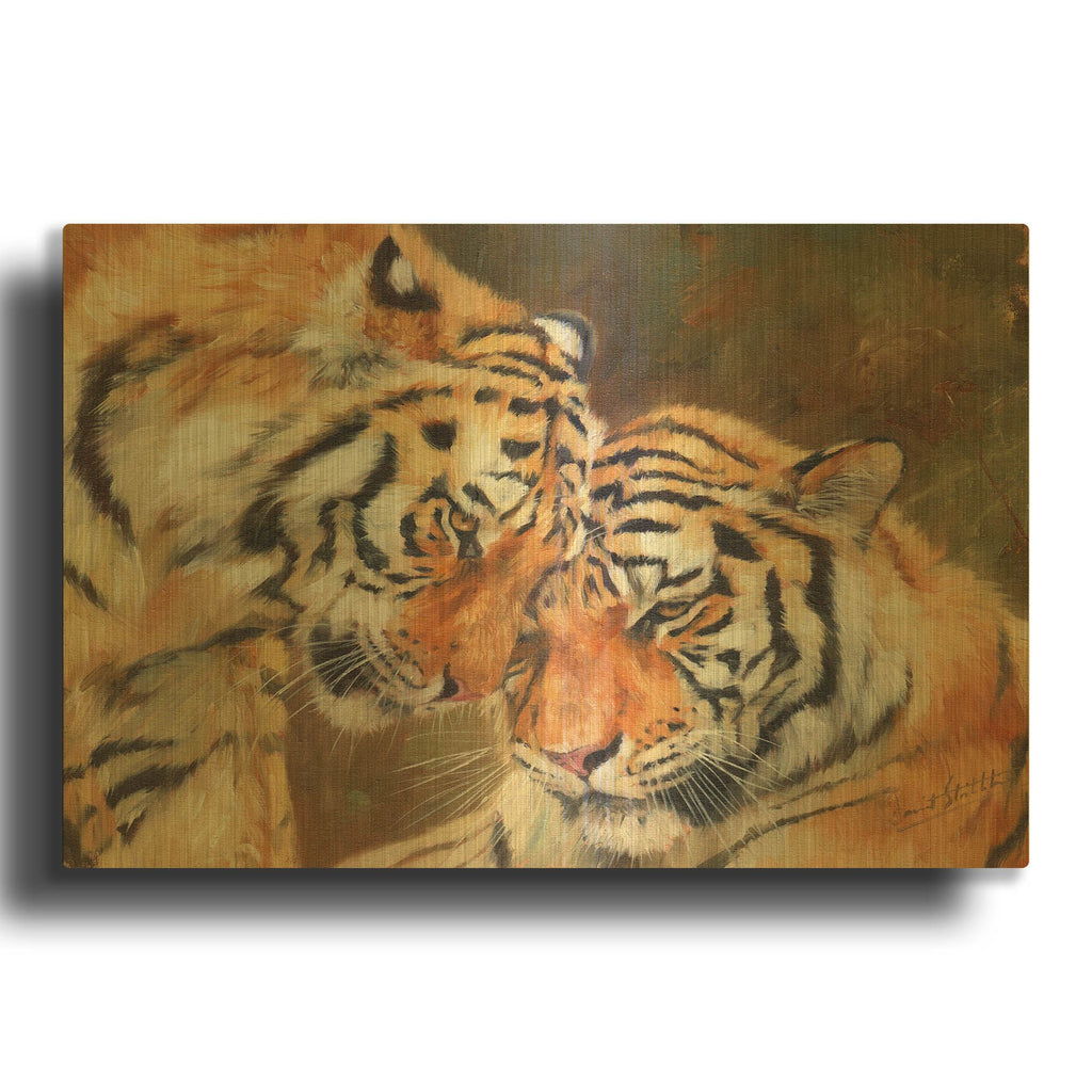'Tiger Love' By David Stribbling Gold Metal Wall Art