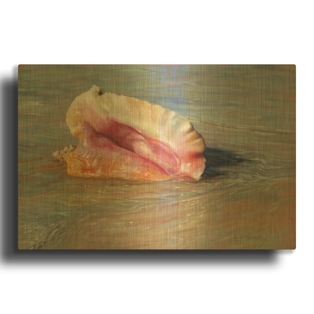 'Conch Shell' By David Stribbling Gold Metal Wall Art