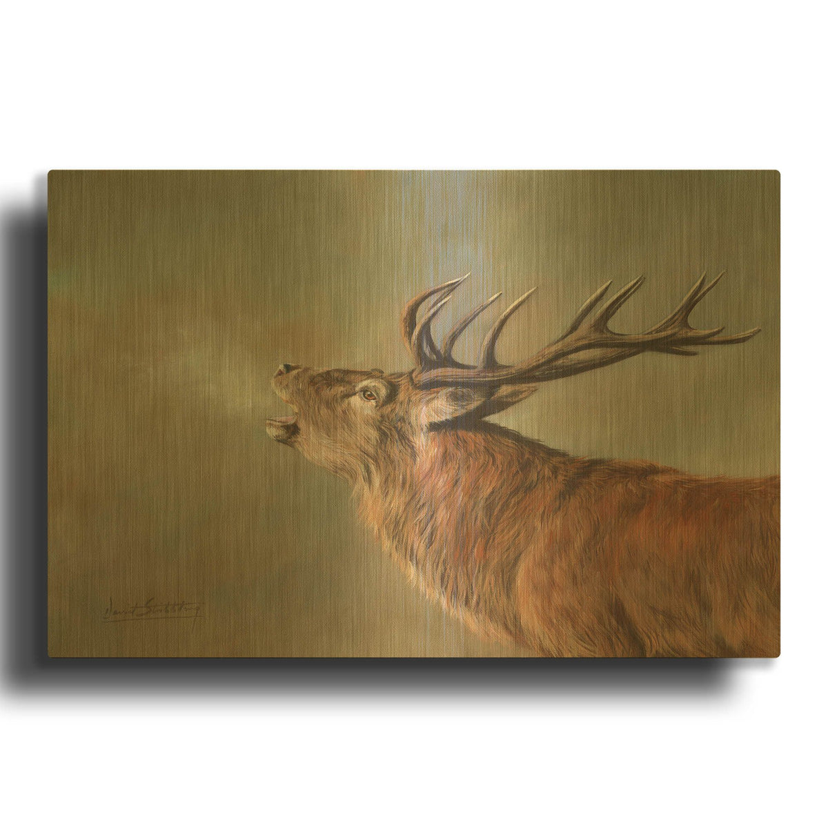 'Red Deer Stag' By David Stribbling Gold Metal Wall Art