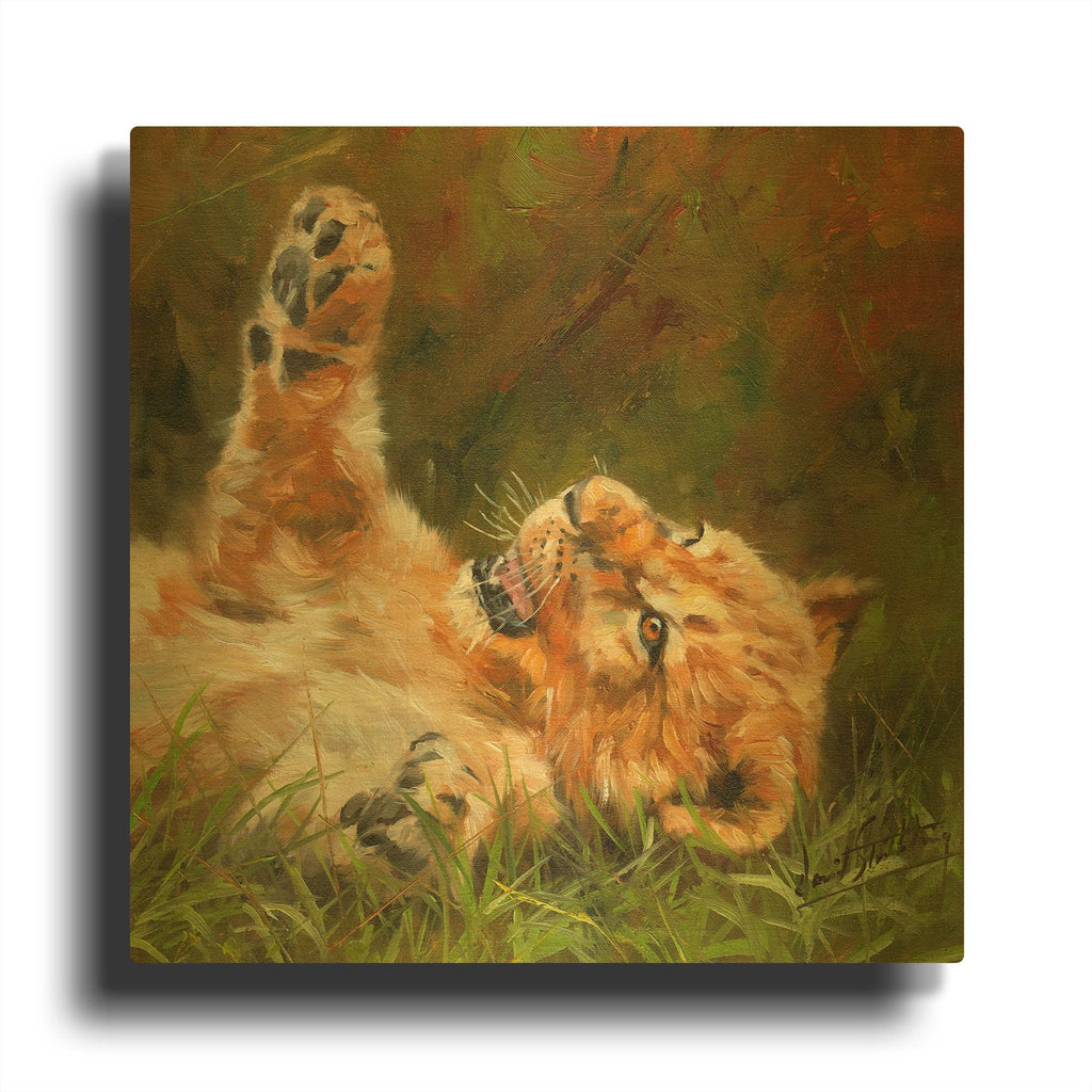 'Lion Cub' By David Stribbling Gold Metal Wall Art