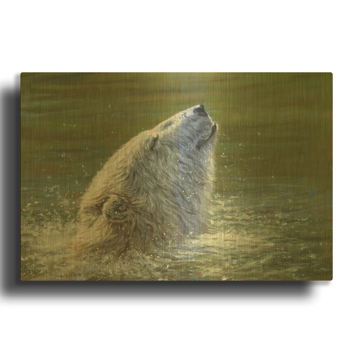 'Polar Bear Splash' By David Stribbling Gold Metal Wall Art