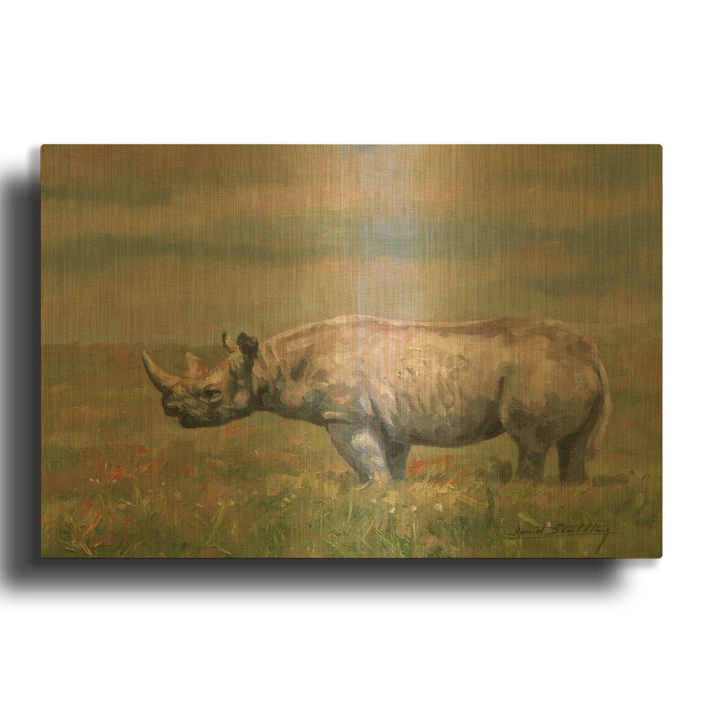'Black Rhino' By David Stribbling Gold Metal Wall Art