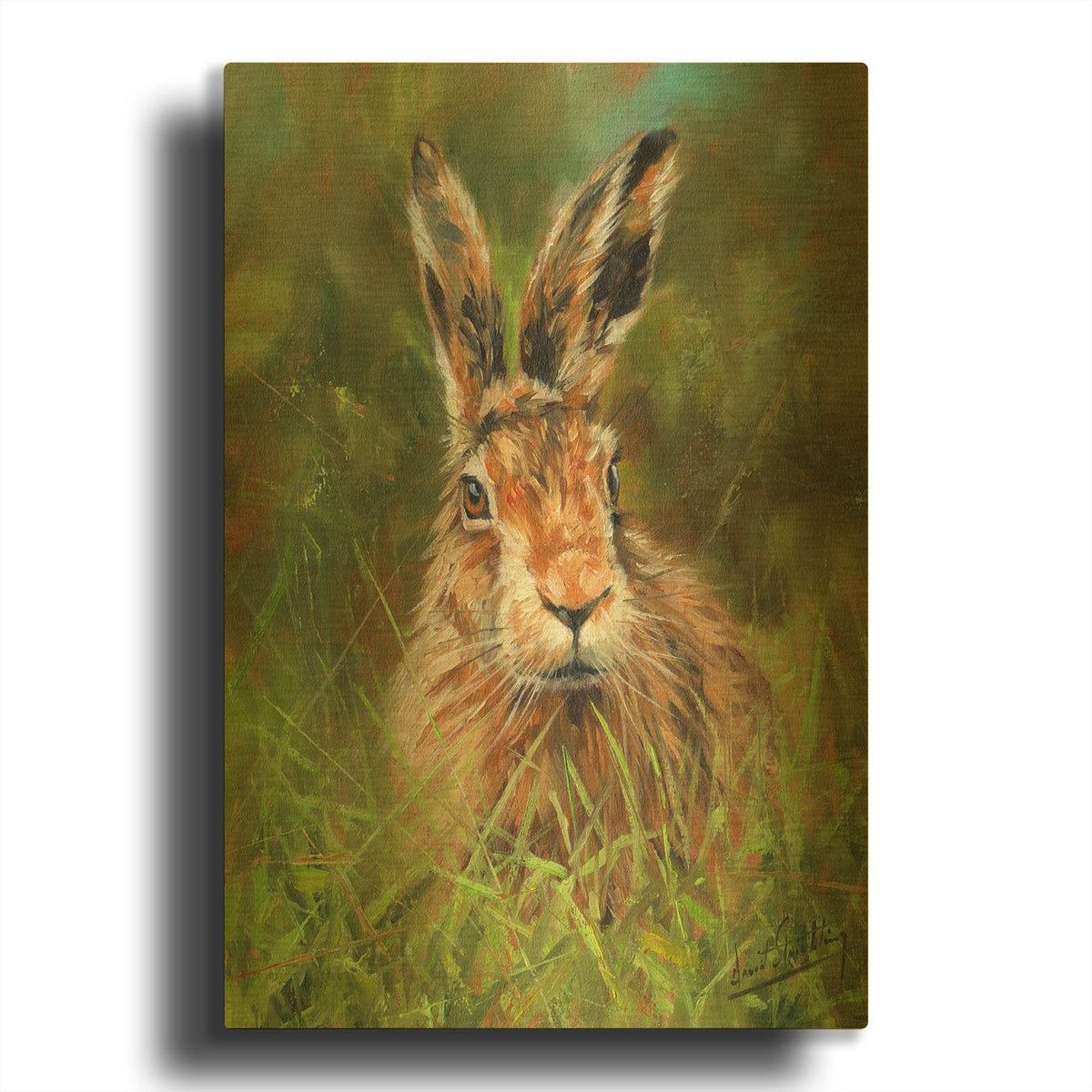'Hare 2' By David Stribbling Gold Metal Wall Art
