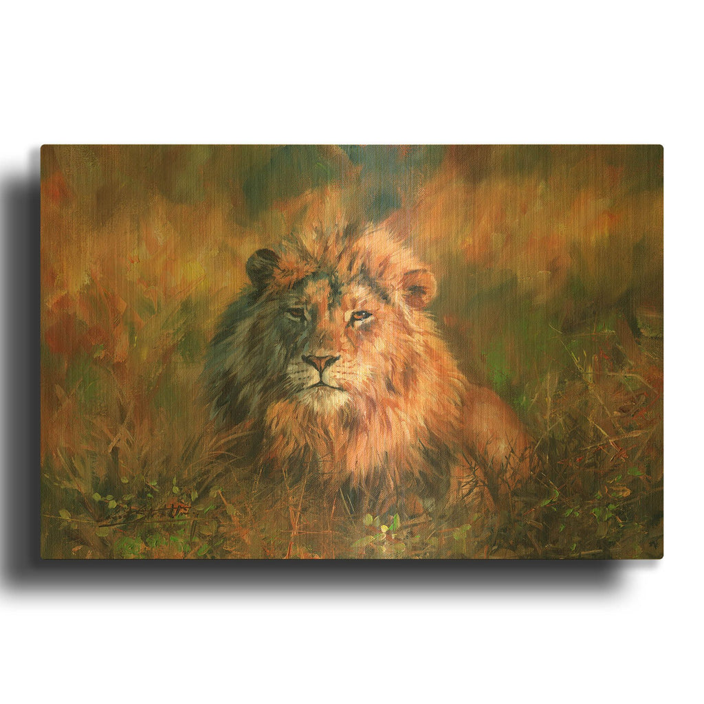 'Lion At Sunset' By David Stribbling Gold Metal Wall Art