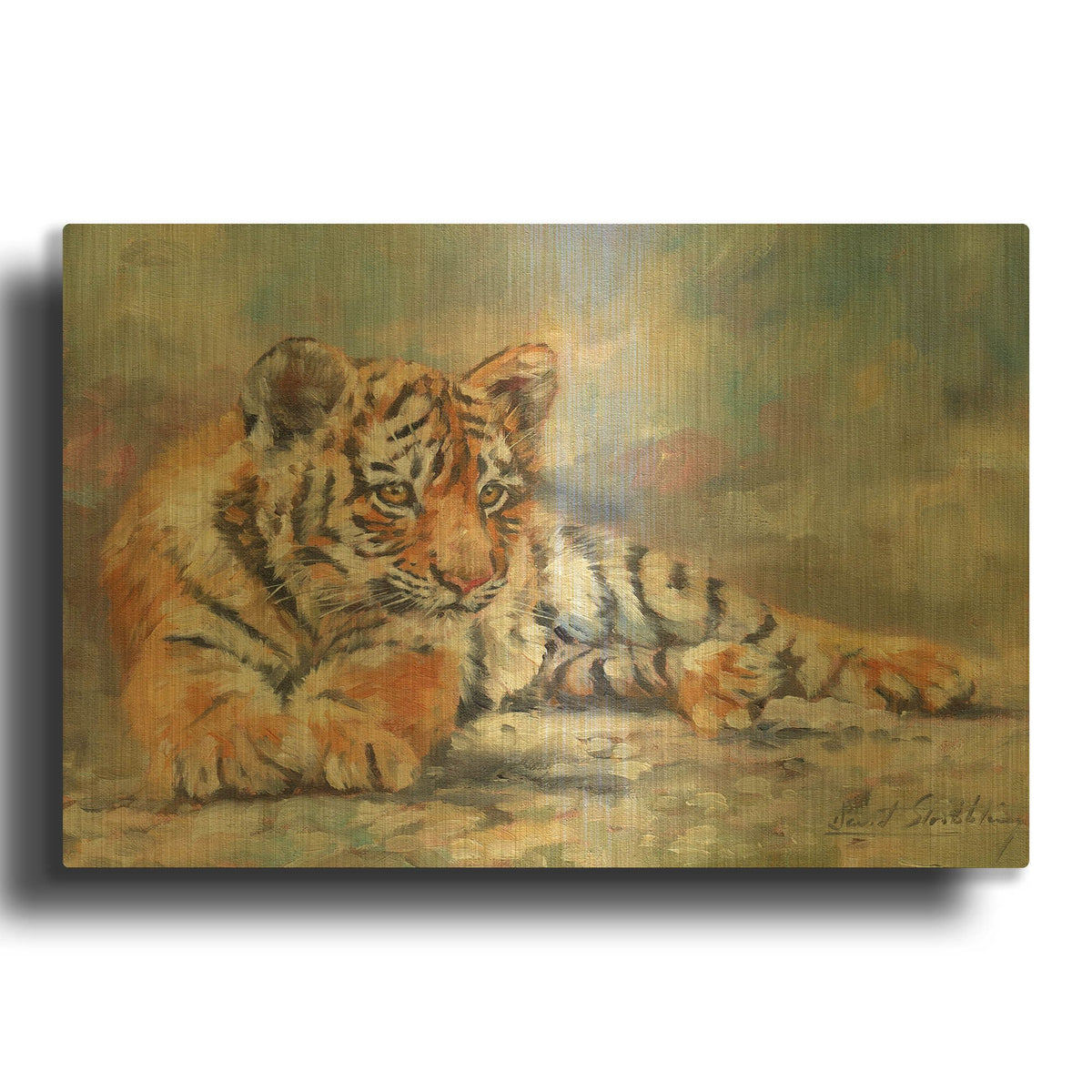 'Tiger Cub Lounging' By David Stribbling Gold Metal Wall Art