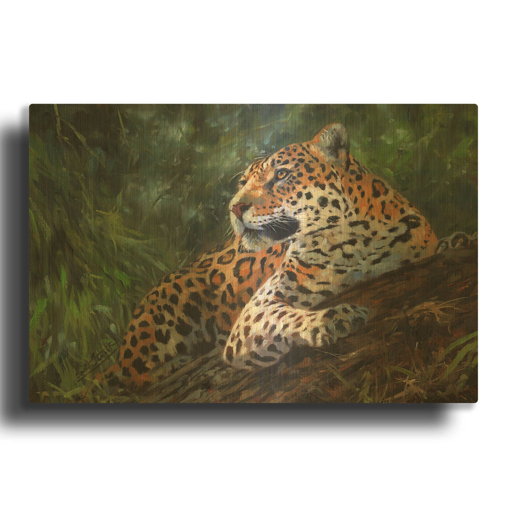 'Jaguar In Tree' By David Stribbling Gold Metal Wall Art