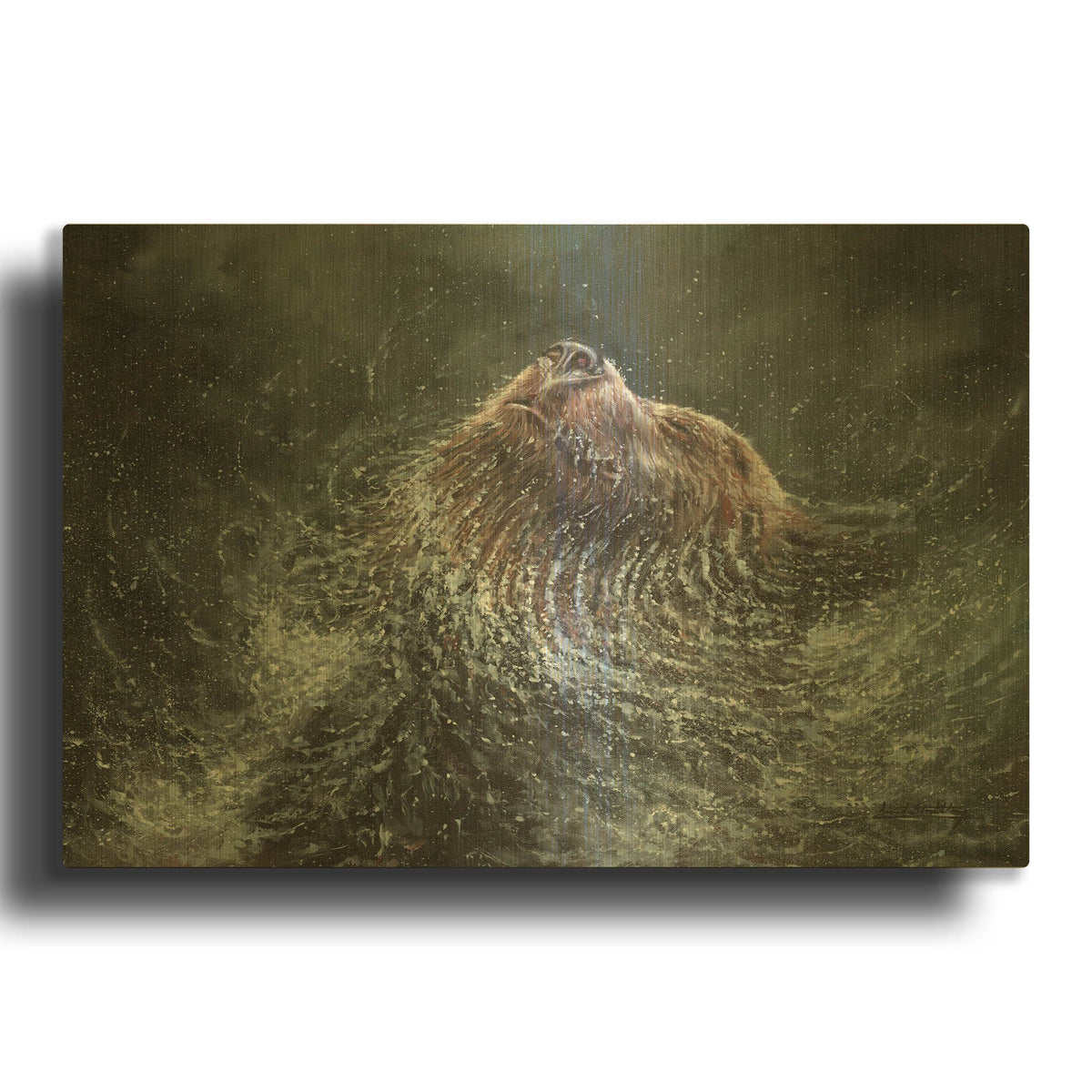 'Bear Splash' By David Stribbling Gold Metal Wall Art