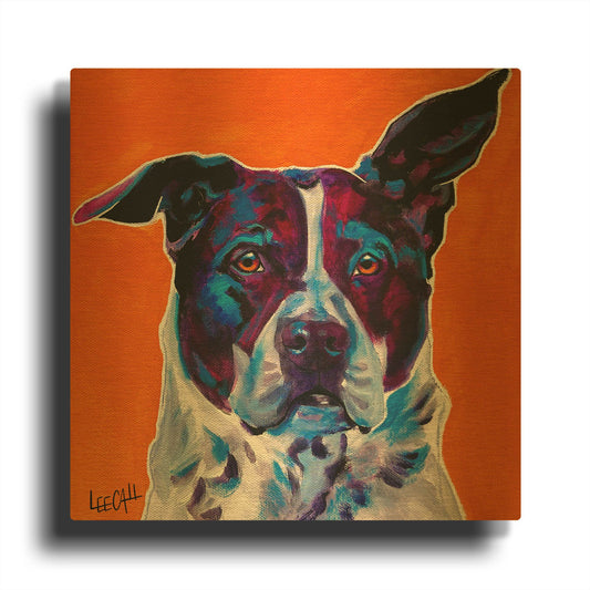'Ralf' By Dawg Painter Gold Metal Wall Art