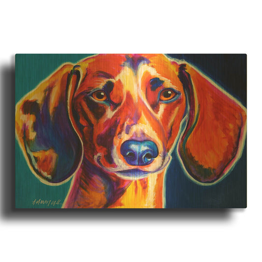 'Dachshund - Bubbs' By Dawg Painter Gold Metal Wall Art