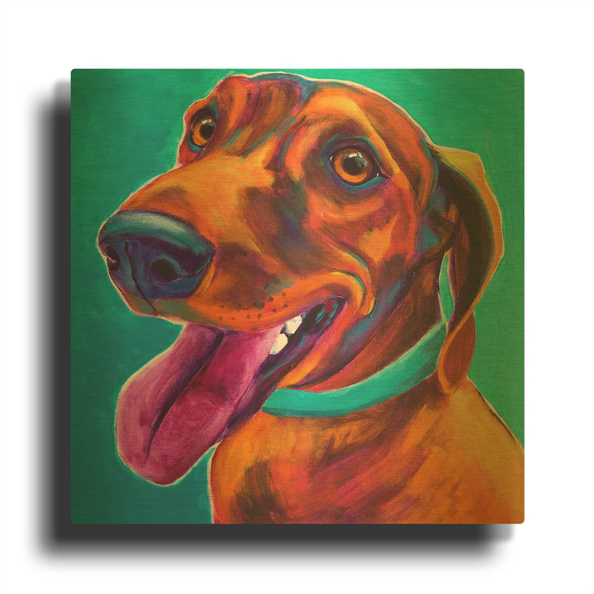 'Dachshund - Turquoise' By Dawg Painter Gold Metal Wall Art