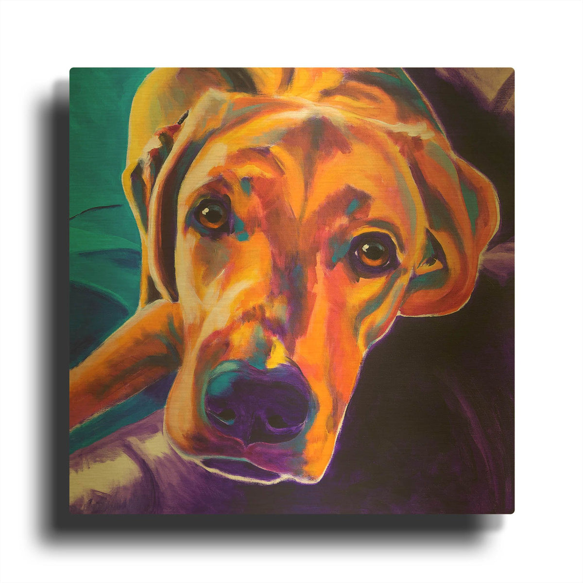 'Lab - Lil Bear' By Dawg Painter Gold Metal Wall Art