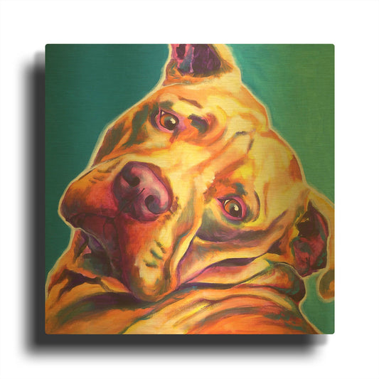'Pit Bull - Dozer' By Dawg Painter Gold Metal Wall Art