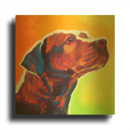 'Pit Bull - Fuji' By Dawg Painter Gold Metal Wall Art