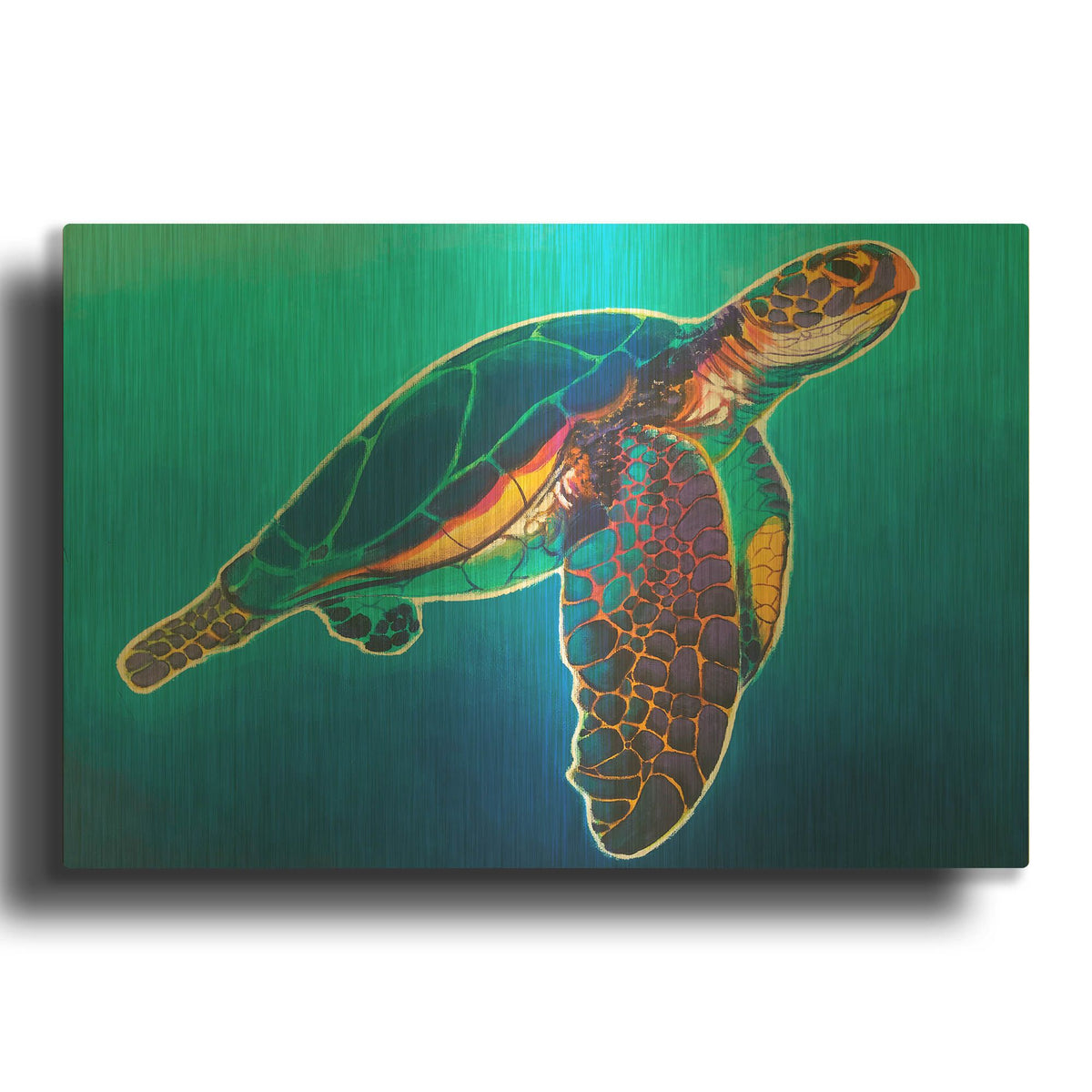 'Sea Turtle - Rainbow' By Dawg Painter Gold Metal Wall Art