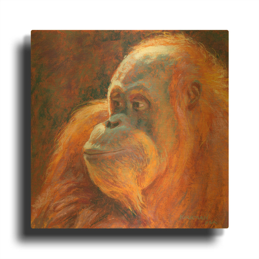 'O Is For Orangutan' By Rita Kirkman Gold Metal Wall Art