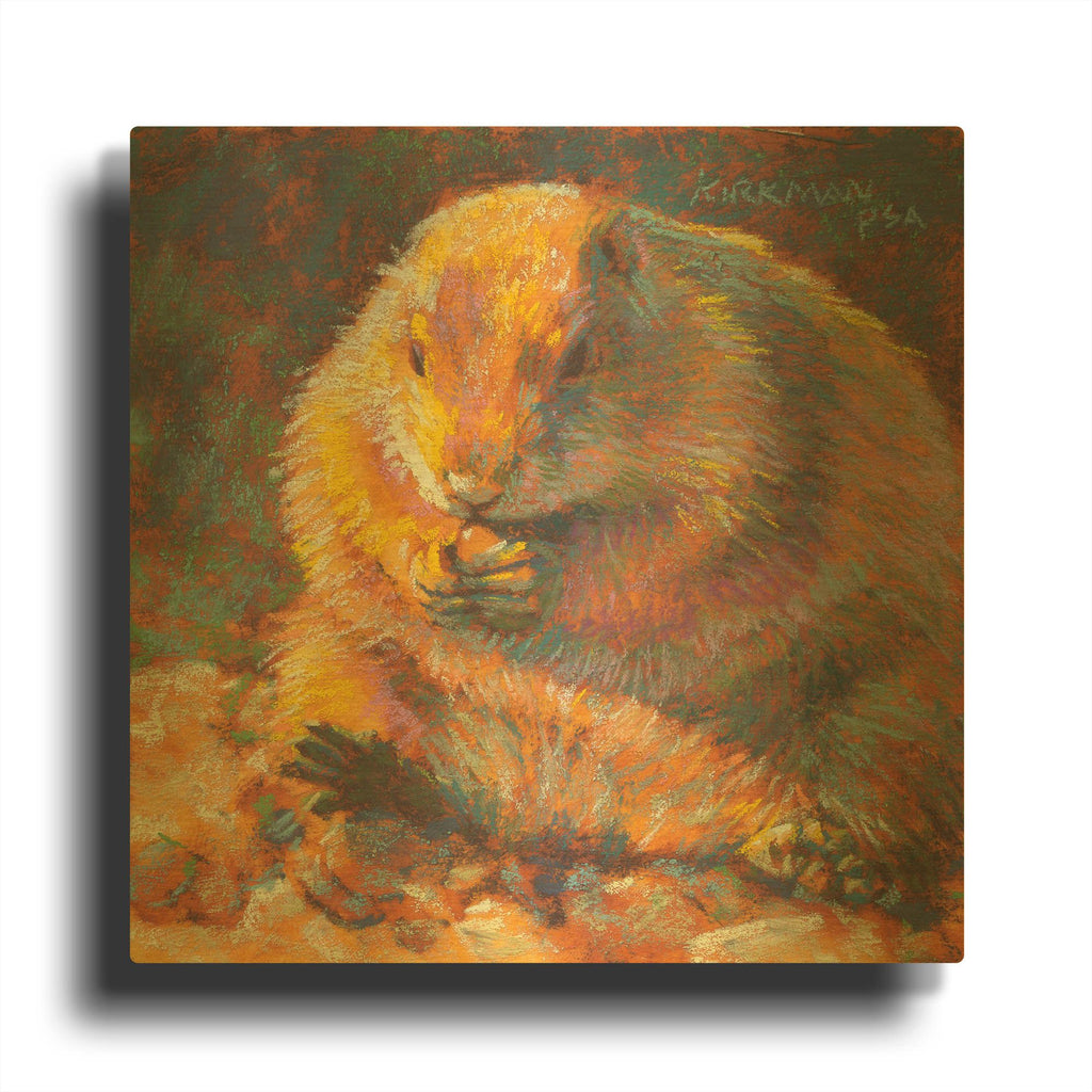 'P Is For Prairie Dog' By Rita Kirkman Gold Metal Wall Art