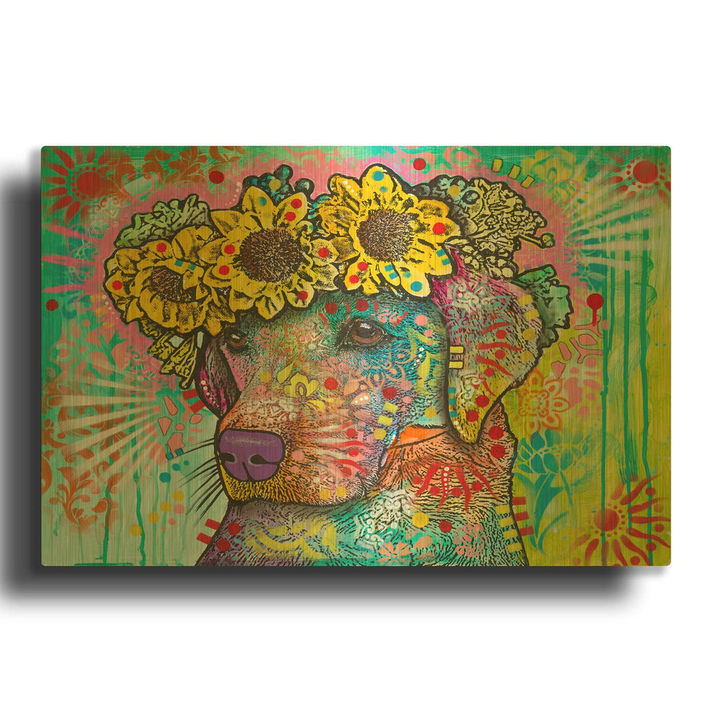 'Sunflower Lab' By Dean Russo Gold Metal Wall Art