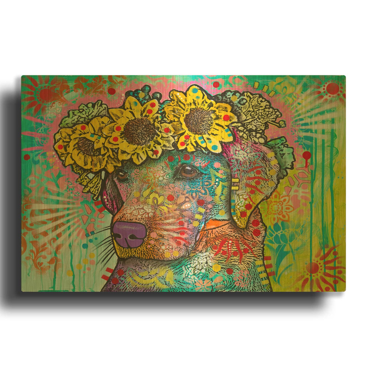 'Sunflower Lab' By Dean Russo Gold Metal Wall Art