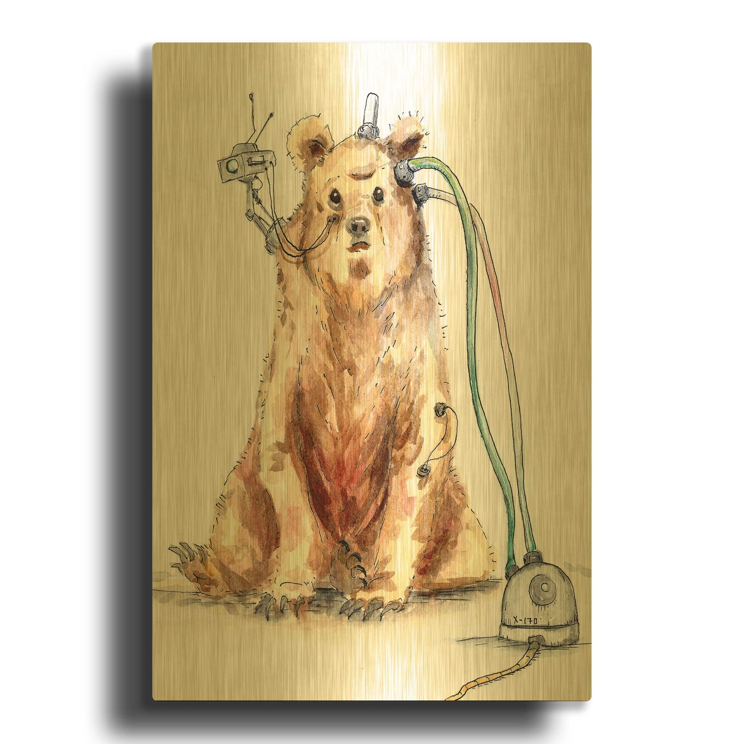 'Ruxpin' By Craig Snodgrass Gold Metal Wall Art