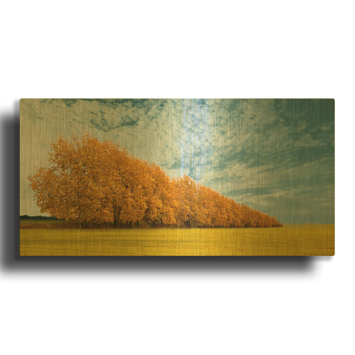 'Autumn Colors 1' By Carlos Casamayor Gold Metal Wall Art