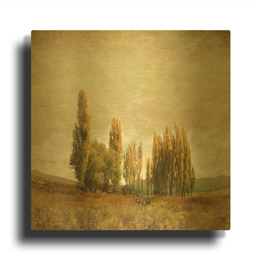 'Autumnal Feelings' By Carlos Casamayor Gold Metal Wall Art