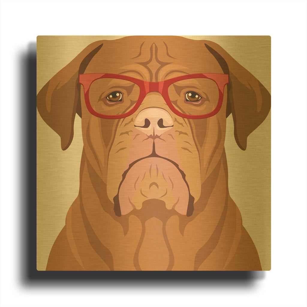 'Dogue De Bordeaux Wearing Hipster Glasses' By Furbaby Affiliates Gold Metal Wall Art