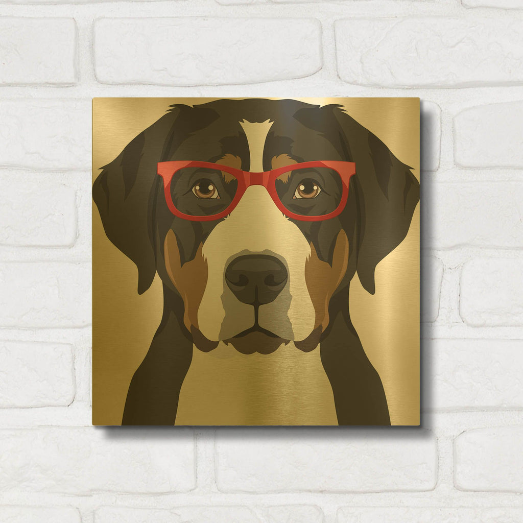 'Greater Swiss Mountain Dog Wearing Hipster Glasses' By Furbaby Affiliates Gold Metal Wall Art