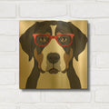 'Greater Swiss Mountain Dog Wearing Hipster Glasses' By Furbaby Affiliates Gold Metal Wall Art